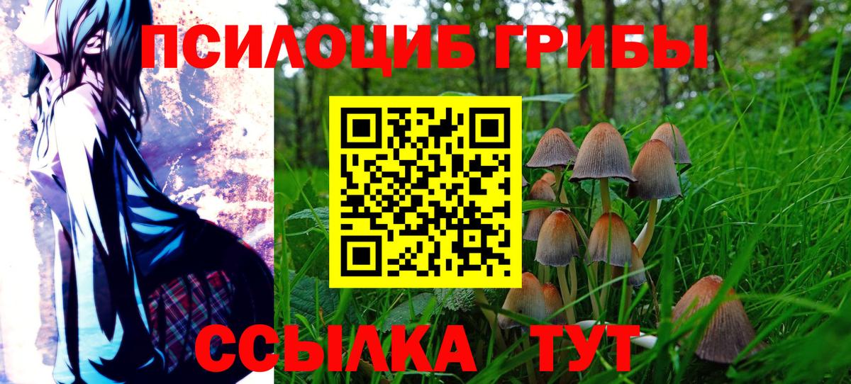 Мытищи  Псилоцибиновые грибы прущие грибы  Галлюциногенные грибы мицелий  Вход с VPN 